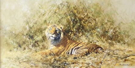 David Shepherd, ‘Glorious Tiger’, 1975