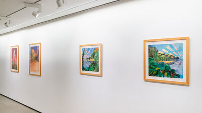 Sites Unseen: new works by Cheryl Molnar, installation view