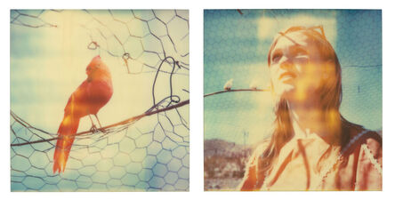 Stefanie Schneider, ‘Daydream (Haley and the Birds) - diptych’, 2013