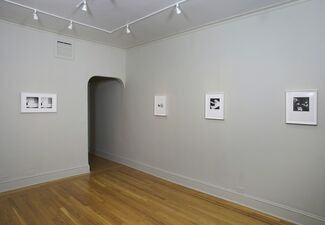 Eureka: William Wegman Photographs 1970 - 1975, installation view