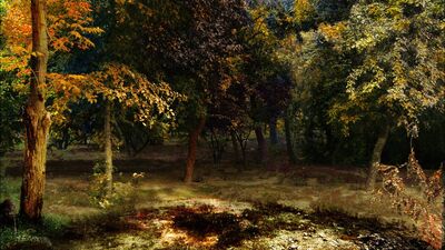 Ranbir Kaleka, ‘Forest’, 2009