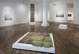 Susan Goethel Campbell: Faulty Vision, installation view