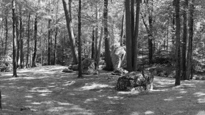 Barbara O'Shea, ‘My Reverie’, 2023