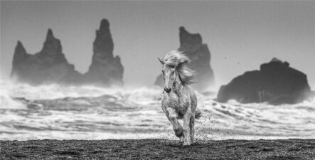 David Yarrow, ‘White Horses, Iceland’, 2018