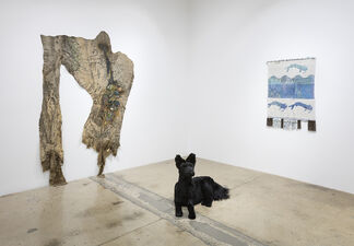 The Dog, the Tree and the Catfish, installation view