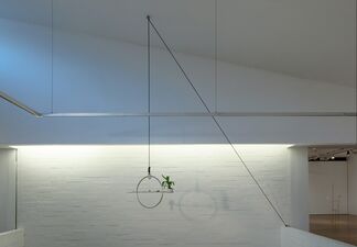 Falling Suspended, installation view