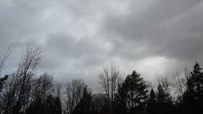 Isabelle Hayeur, ‘La Saison Sombre’