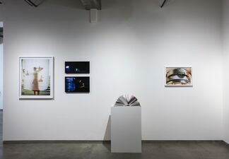 Me, installation view