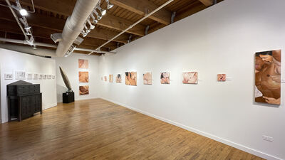 Skin Remembers, installation view