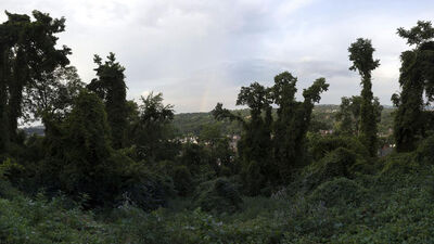 Dylan Vitone, ‘Rainbow’, 2020