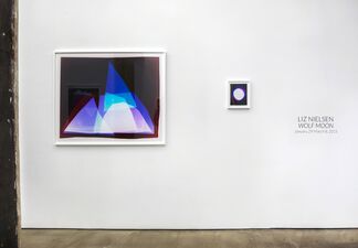 Liz Nielsen: Wolf Moon, installation view