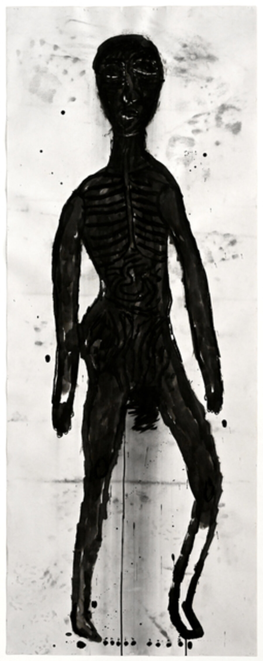 Human Anatomy Manuscript