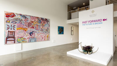 FAST FORWARD | The Future Is Brown, installation view