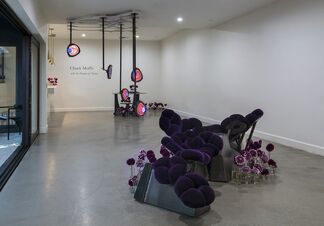 Chuck Moffit: With the Promise of Nectar, installation view