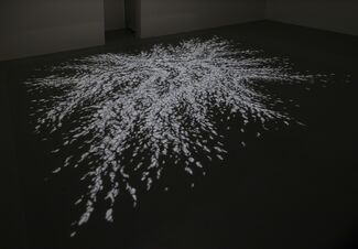 Cosmic Perspective, installation view