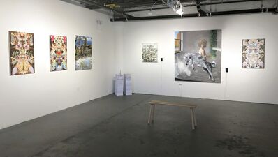 Never Mind the Bullocks, installation view
