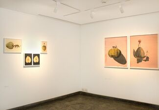 Bedtime Stories, installation view