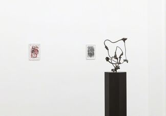 Alexi Tsioris - Flaum & Splitter, installation view