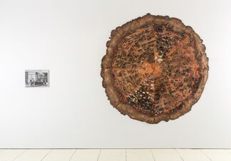 The Bruce High Quality Foundation: Pizzatopia, installation view