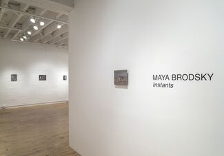 Maya Brodsky, installation view