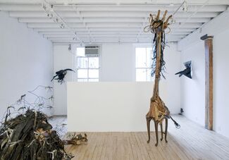 The Natural: Johnston Foster, installation view