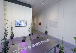 At the Temperature of My Body, installation view