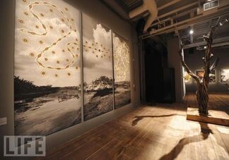 NOMAD TWO WORLDS - APOLOGY COLLECTION PREVIEW (Stephan Weiss Studio, New York), installation view