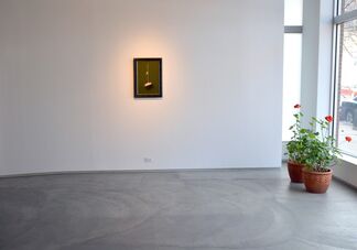 Kyle Surges High Definition, installation view
