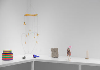 Objects Like Us, installation view