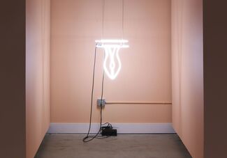 Imprison Her Soft Hand | Zoë Buckman, installation view