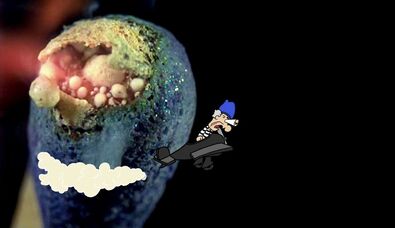 TV Moore, ‘Tripasso in Wackyland’, 2014