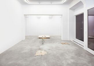 Sam Anderson: Endless Love, installation view