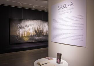 Sakura: An Enduring Tradition, installation view