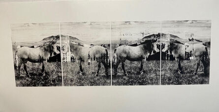 Donna Gordon, ‘4 Horses, Outside Laramie, Wyoming’, 2021