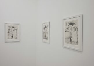 Carroll Dunham — Works On Paper, installation view