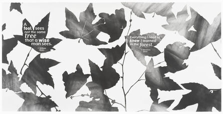 Andrea Bowers, ‘People ́s Initiative Poetic Protest on Paper, Group 1, 1 of 4’, 2020