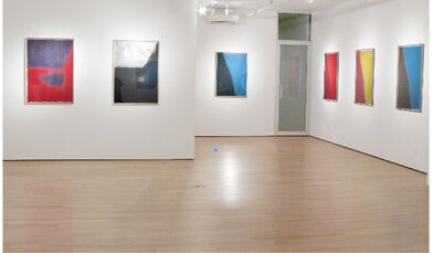 Andy Warhol Diamond Dust & Shadows, installation view