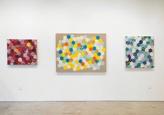 American Bloom, installation view