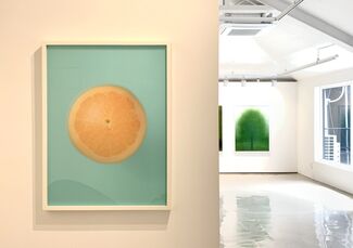 <Blur>  Um Hyoyong solo exhibition, installation view