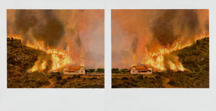 Ellen Harvey, ‘Double (Wildfire)’, 2012