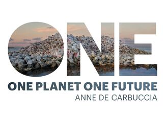 One Planet One Future - Anne De Carbuccia, installation view
