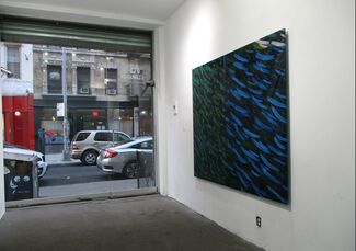 Eager Mouth, installation view