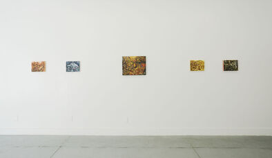 Erica Mao, Born from earth, installation view