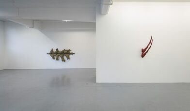 Lived In, installation view