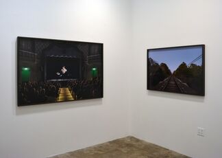 David S. Allee: Kill Your Darlings, installation view