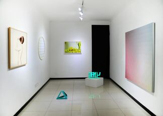 The Yellow Ones are Mine, installation view