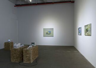 Robert Bordo, Sam Anderson with Michel Auder, installation view