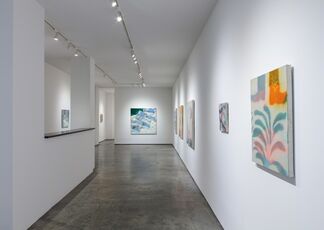 Patrick Shoemaker : Fire on Fire, installation view