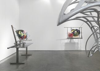 Frank Stella, installation view