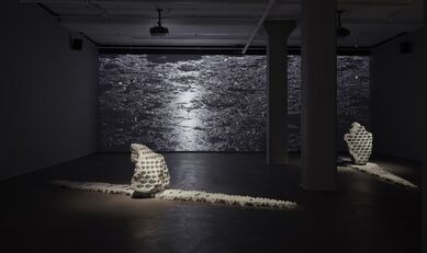 Julian Charrière | Towards No Earthly Pole, installation view